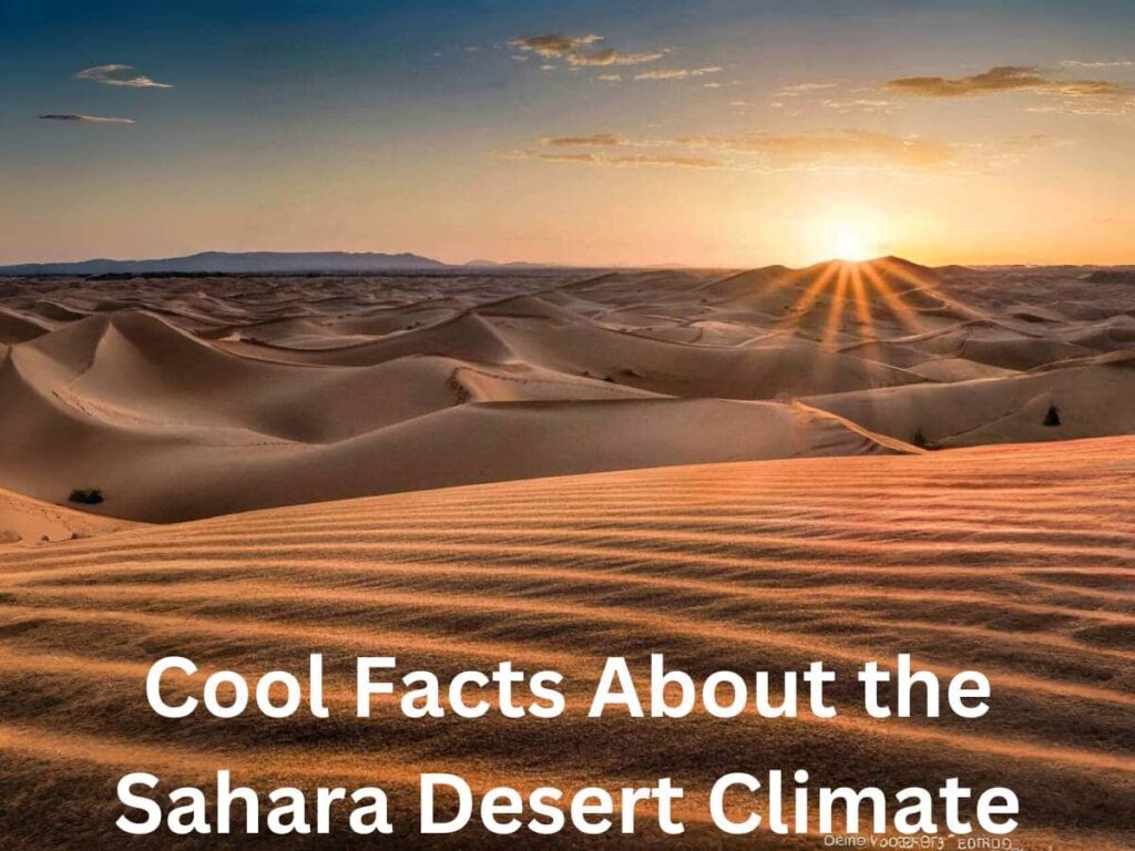 Panoramic view of the Sahara Desert at sunrise with golden sand dunes and a camel caravan.