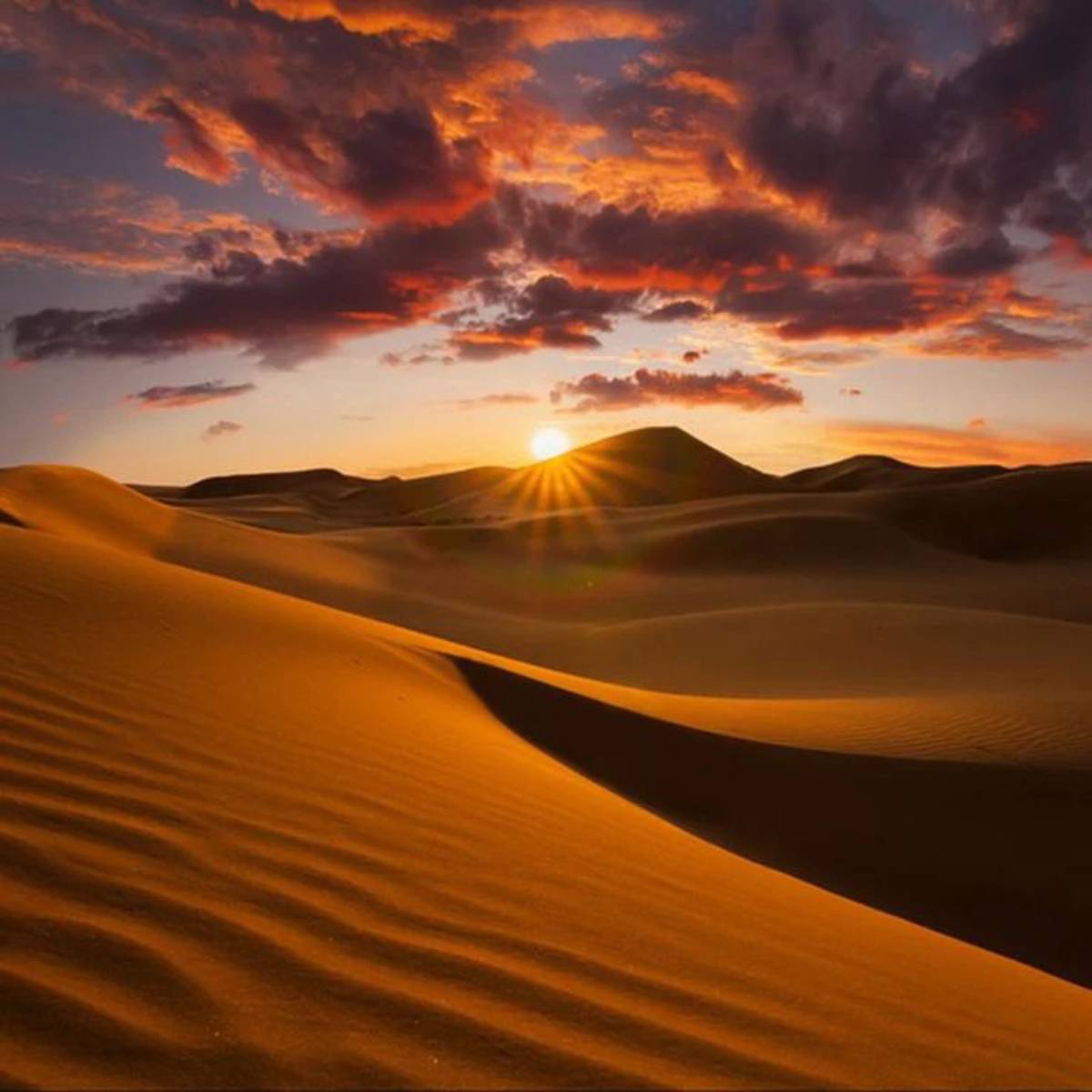 "A breathtaking aerial view of the Sahara Desert, showcasing endless golden sand dunes under a bright blue sky, with shadows creating a mesmerizing pattern."